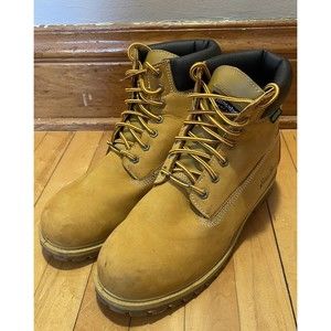 Eddie Bauer Rick Tan Men's Waterproof Thinsulate Leather Hiking Boots Size 12M